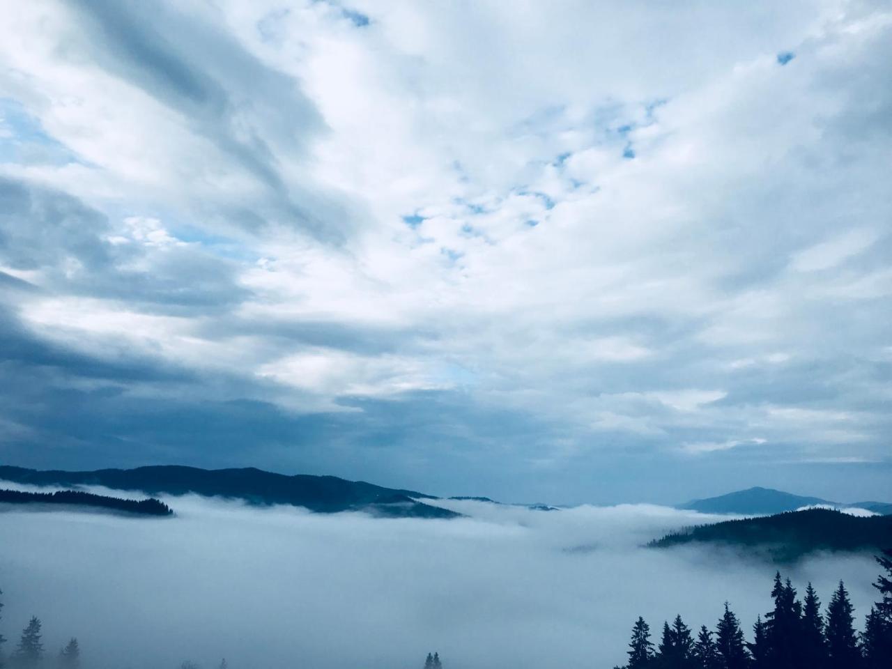 Pensiunea Serbeca Brosteni Dış mekan fotoğraf