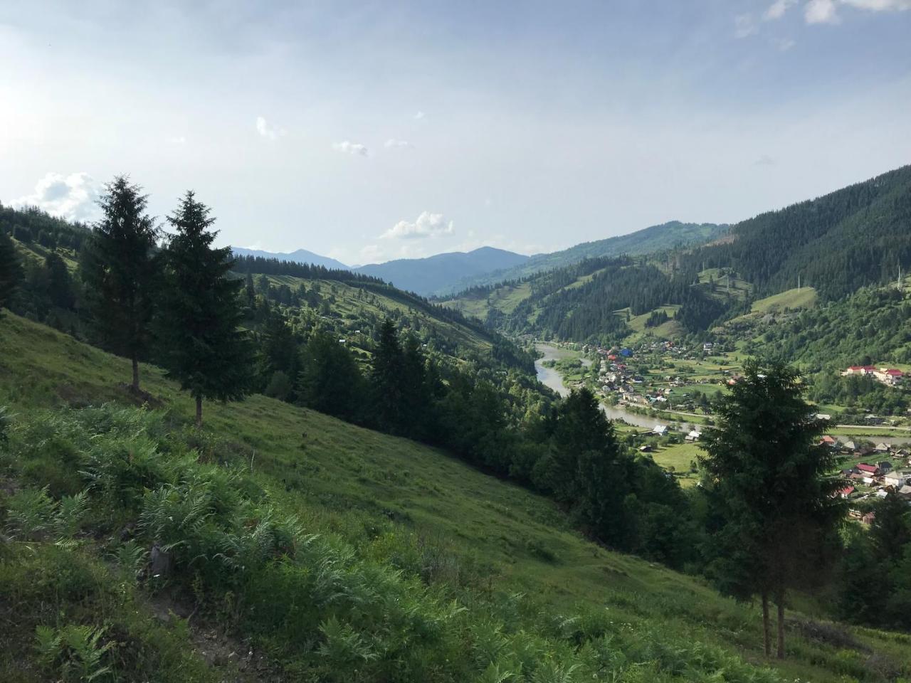 Pensiunea Serbeca Brosteni Dış mekan fotoğraf